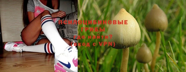 дурь Белокуриха