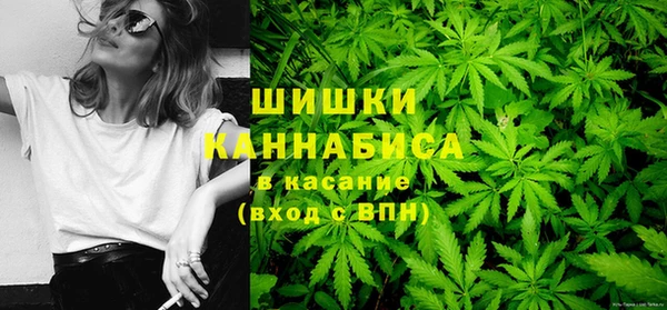 дурь Белокуриха