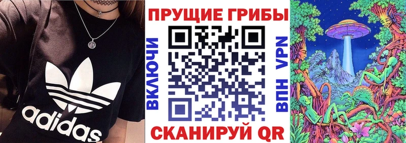 mega ссылки  Кохма  Галлюциногенные грибы MAGIC MUSHROOMS 